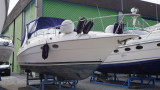 Cruisers - Cruisers 3175 Rogue