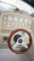 Cruisers - Cruisers 3175 Rogue