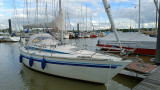 Finngulf - FinnGulf 31
