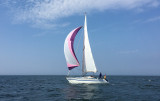 Finngulf - FinnGulf 31