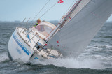 Finngulf - FinnGulf 31