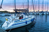 Finngulf - FinnGulf 31