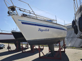 Finngulf - FinnGulf 31