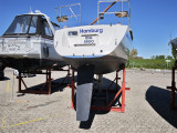Finngulf - FinnGulf 31