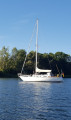 Olympia Yachts - Carter 33