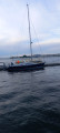 Dehler Yachtbau - 38 ST modifiziert