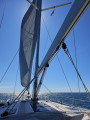 Bavaria - 45 Cruiser