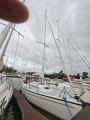 Dehler Yachtbau - DEHLER 32 TOP