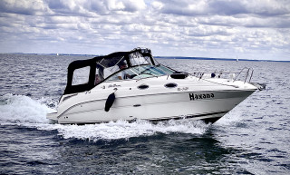 Thumbnail - Sea Ray 255 Sundancer
