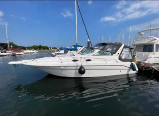 Thumbnail - Sea Ray 290 Sundancer