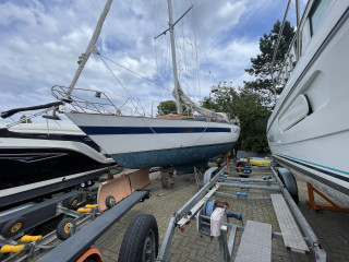 Thumbnail - Judel Vrolijk 10,10 M