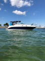 Sea Ray - Sea Ray 260 DA Sundancer