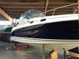 Sea Ray - Sea Ray 260 DA Sundancer