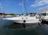 Thumbnail - Sea Ray 290 Sundancer