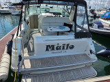 Sea Ray - Sea Ray 290 Sundancer