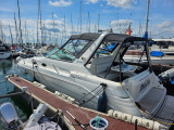 Sea Ray - Sea Ray 290 Sundancer