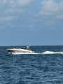 Thumbnail - Sealine C 48