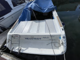 Sea Ray - Sea Ray 200 OV