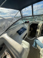 Sea Ray - Sea Ray 260 Sundancer
