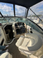 Sea Ray - Sea Ray 260 Sundancer