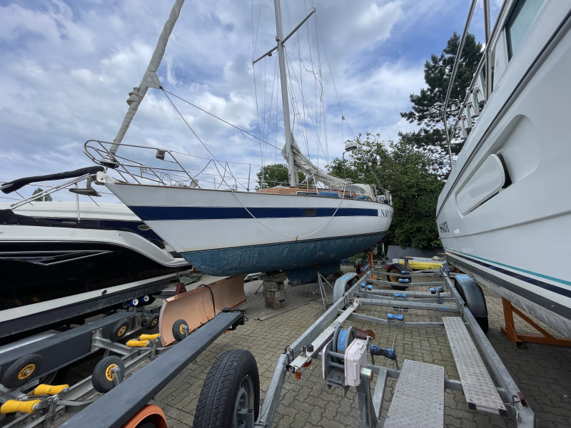 Judel & Vrolijk - Judel Vrolijk 10,10 M Judel & Vrolijk - Judel Vrolijk 10,10 M