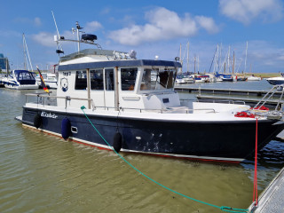 Thumbnail - Targa 31