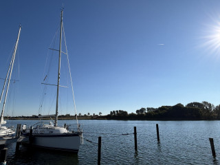 Thumbnail - Hallberg-Rassy 310