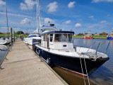 Targa - Targa 31