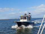 Targa - Targa 31