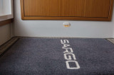  - SARGO SARGO 36