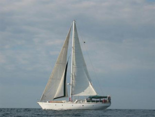 Thumbnail - LOVETT 50