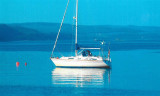 Thumbnail - Westerly Oceanquest