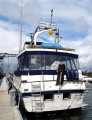 Trader Motor Yachts - Trader 54 Sunliner