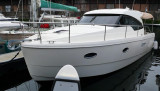 Rodman - Rodman Spirit 31