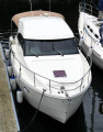 Rodman - Rodman Spirit 31