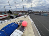  - Seastream 43