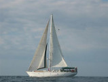 Thumbnail - LOVETT 50