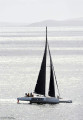  - Custom Shuttleworth 39