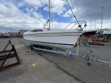 Hunter - Hunter  Legend 240
