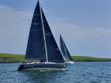 Hanse Yachts - Hanse  371