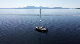 Westerly - Westerly Sealord