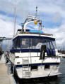 Trader Motor Yachts - Trader 54 Sunliner