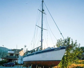 Thumbnail - TRIDENT MARINE WARRIOR 38