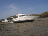 Sunseeker - Sunseeker Jamaican 35