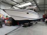 Sunseeker - Sunseeker Jamaican 35