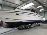 Sunseeker - Sunseeker Jamaican 35