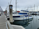 Rodman - Rodman 1100 Fisher