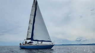 Thumbnail - Scampi 30