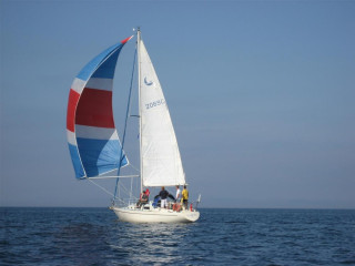 Thumbnail - Robertson Comfort 30