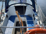  - Scampi 30